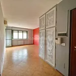 Rent 5 bedroom apartment of 100 m² in Torino