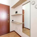 Rent 1 bedroom apartment in Milan