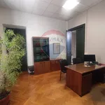 Rent 5 bedroom apartment of 150 m² in Biella