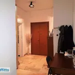 Rent 2 bedroom apartment of 60 m² in Genoa