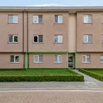 Rent 2 bedroom apartment in Ranst