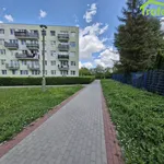 Rent 2 bedroom apartment of 35 m² in Grudziądz