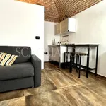 Rent 1 bedroom apartment of 30 m² in Biella