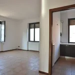 Rent 3 bedroom apartment of 85 m² in Bari