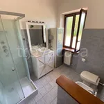 Rent 3 bedroom apartment of 73 m² in Grottaferrata