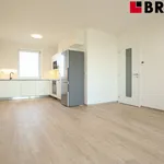 Rent 2 bedroom apartment of 58 m² in Brno