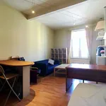 Huur 1 slaapkamer appartement van 45 m² in brussels