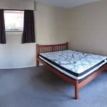 Rent 4 bedroom house in Christchurch