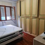 Rent 3 bedroom apartment of 77 m² in Perugia