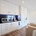 Rent 1 bedroom apartment of 60 m² in lisbon