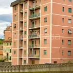 Rent 3 bedroom apartment of 75 m² in Genova