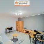 Rent 1 bedroom apartment of 28 m² in Zabrze