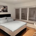 Rent 1 bedroom apartment of 60 m² in Frankfurt