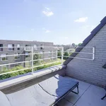 Rent 2 bedroom apartment in Meise Wolvertem