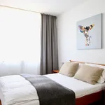 Rent 3 bedroom apartment of 70 m² in Cologne