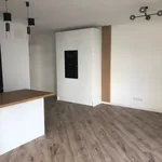 Rent 4 bedroom apartment of 88 m² in Krakow