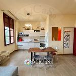 Rent 2 bedroom apartment of 55 m² in Pisa