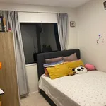 Rent 2 bedroom apartment in Auckland