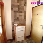 Rent 3 bedroom apartment in České Budějovice