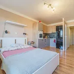 Rent 1 bedroom apartment of 26 m² in Ostrava