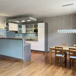 Pronajměte si 1 ložnic/e byt o rozloze 95 m² v Prague