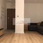 Rent 1 bedroom apartment of 29 m² in Warsaw