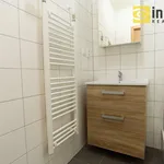 Rent 2 bedroom apartment of 43 m² in Pilsen