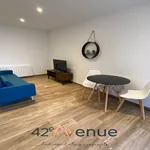 Rent 1 bedroom apartment in Saint-Étienne