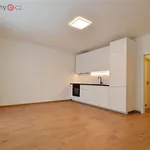 Rent 1 bedroom apartment of 36 m² in Praha 19