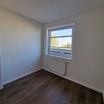 Rent 3 bedroom apartment of 60 m² in Prague