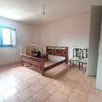 Rent 3 bedroom apartment of 70 m² in Villanova Solaro