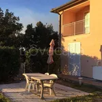 Rent 2 bedroom apartment of 65 m² in Livorno