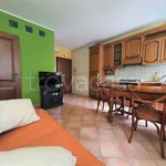 Rent 2 bedroom apartment of 50 m² in Biella