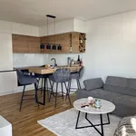 Rent 2 bedroom apartment of 47 m² in Grad Rijeka