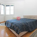 Rent 4 bedroom apartment of 130 m² in City of Zagreb