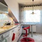 Rent 2 bedroom apartment of 57 m² in Wrocław