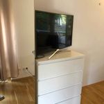 Rent 5 bedroom apartment in Frankfurt