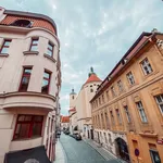 Rent 1 bedroom apartment of 53 m² in Prague