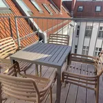 Rent 3 bedroom apartment of 156 m² in berlin