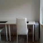 Rent 3 bedroom apartment in Valencia