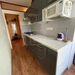 Pronajměte si 4 ložnic/e byt o rozloze 58 m² v Prague