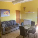 Rent 3 bedroom apartment of 110 m² in San Vito dei Normanni