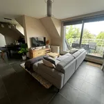 Rent 2 bedroom apartment in Denderleeuw