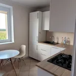 Rent 3 bedroom apartment of 63 m² in Szczecin