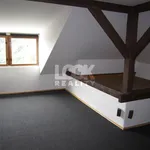 Rent 1 bedroom house of 330 m² in Prague