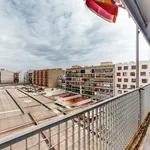 Rent 4 bedroom apartment in Valencia