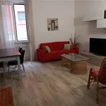 Rent 3 bedroom apartment of 100 m² in Piacenza