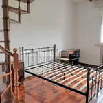 Rent 4 bedroom apartment of 140 m² in Ferrara