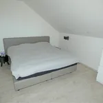 Rent 4 bedroom house of 195 m² in Torhout