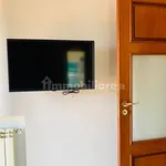 Affitto 3 camera appartamento di 110 m² in Catania